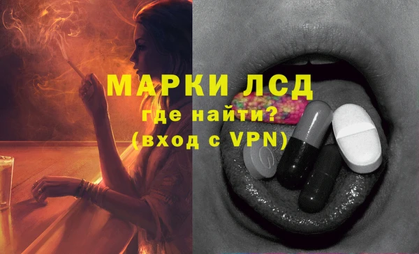 apvp Кукмор