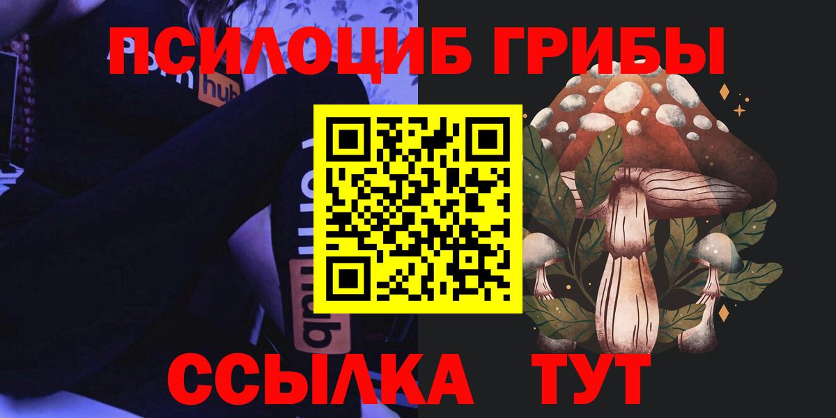 где купить наркотик  Вход с VPN  Комсомольск-на-Амуре  Галлюциногенные грибы Psilocybe 